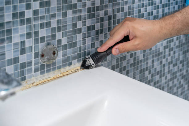 Best Kitchen Mold Remediation in Willowick, OH